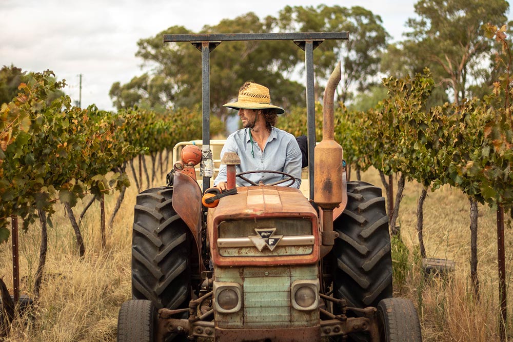 Liam on a tractor at Heslop Wines
