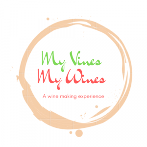 My Vines My Wines Logo